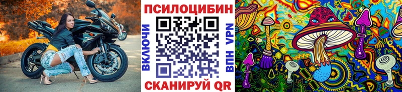 MEGA как зайти  Слободской  Псилоцибиновые грибы Psilocybe 