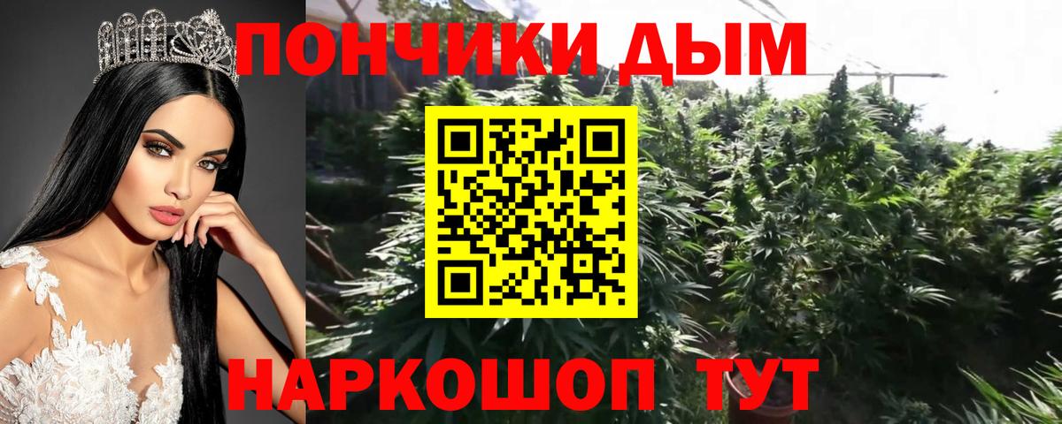 Марихуана ГИДРОПОН  Вход с VPN  Слободской  Канабис план 